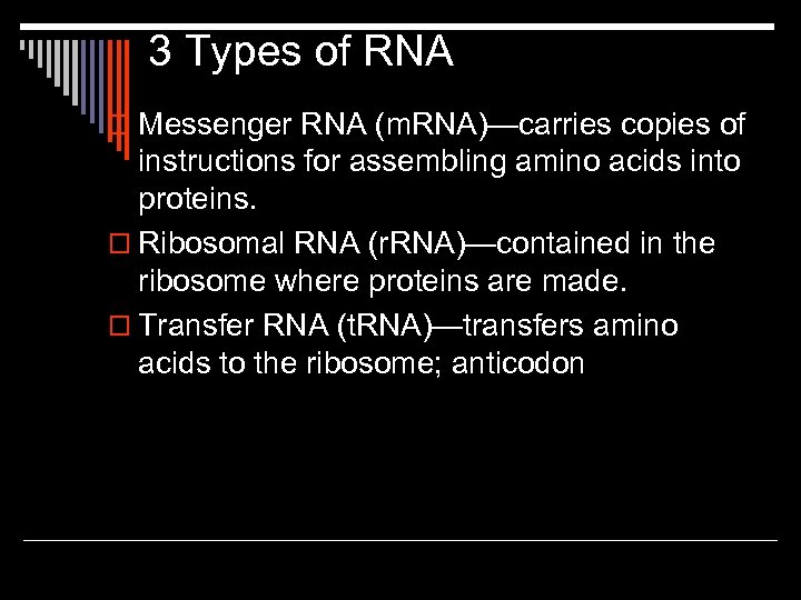 3 Types of RNA o Messenger RNA (m. RNA)—carries copies of instructions for assembling