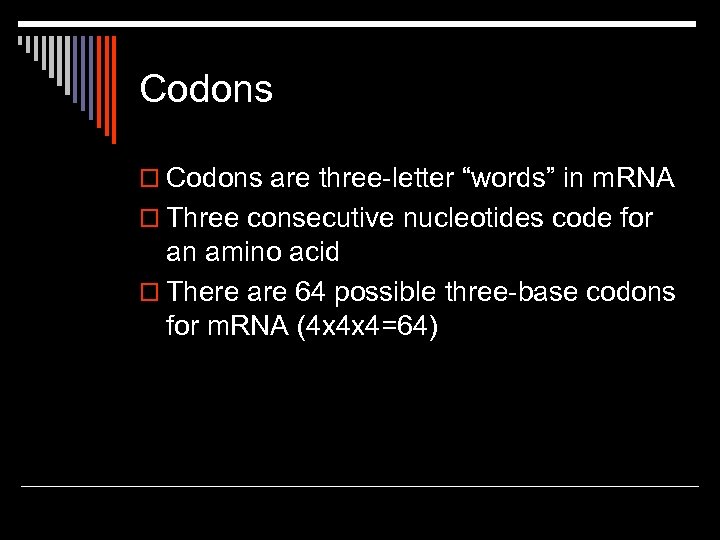 Codons o Codons are three-letter “words” in m. RNA o Three consecutive nucleotides code