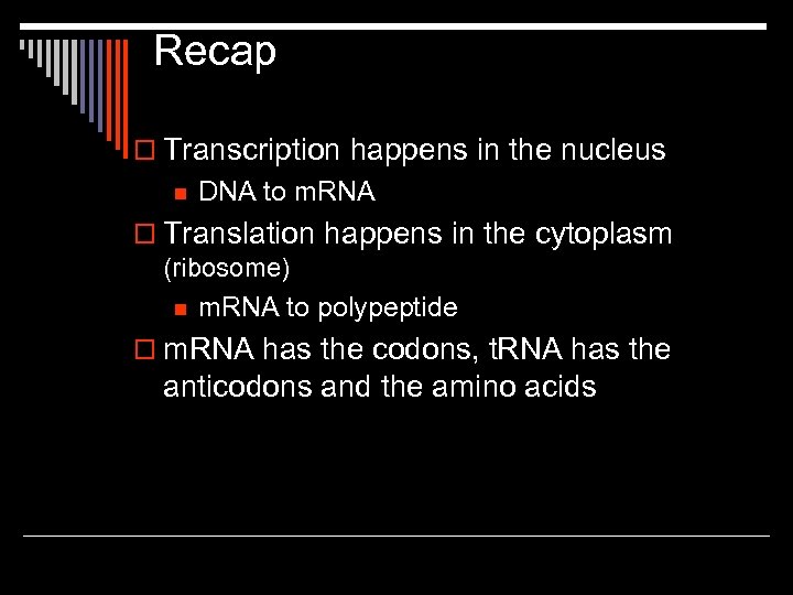 Recap o Transcription happens in the nucleus n DNA to m. RNA o Translation