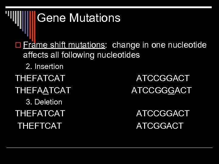 Gene Mutations o Frame shift mutations: change in one nucleotide affects all following nucleotides
