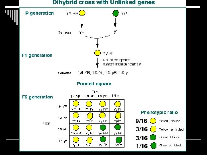 Your numbers should always add up to 16! 