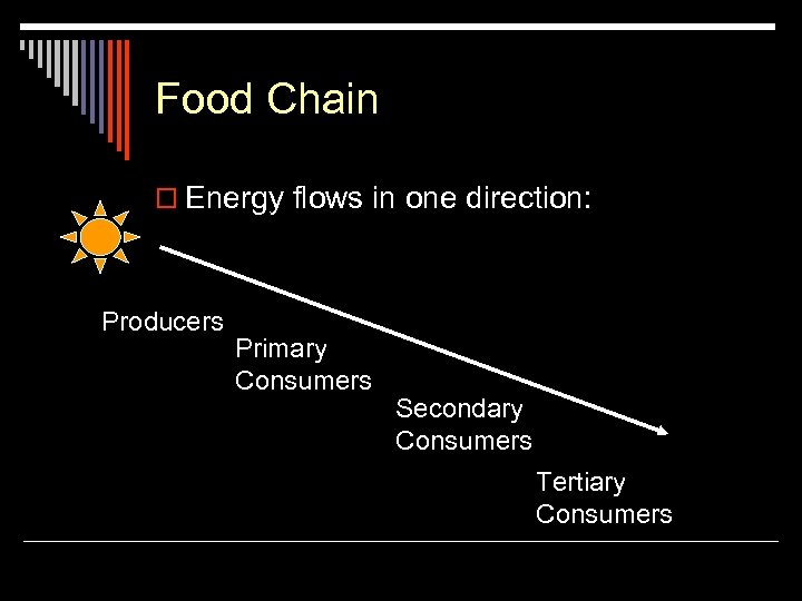 Food Chain o Energy flows in one direction: Producers Primary Consumers Secondary Consumers Tertiary