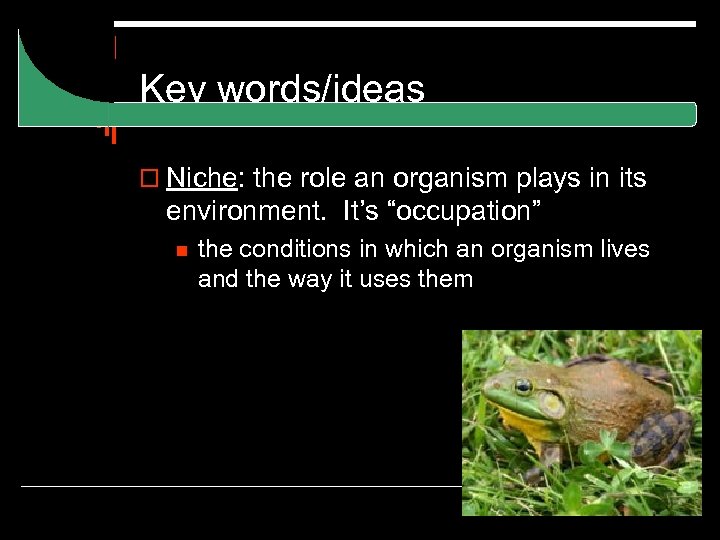 Key words/ideas o Niche: the role an organism plays in its environment. It’s “occupation”