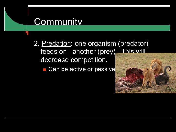 Community 2. Predation: one organism (predator) feeds on another (prey). This will decrease competition.