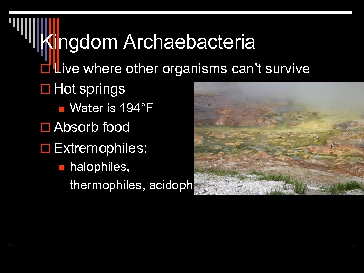 Kingdom Archaebacteria o Live where other organisms can’t survive o Hot springs n Water
