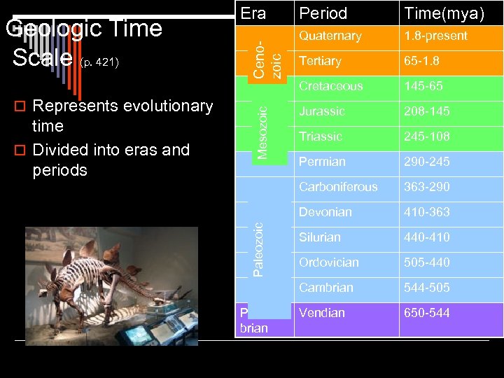 1. 8 -present Tertiary 65 -1. 8 145 -65 Jurassic 208 -145 Triassic 245