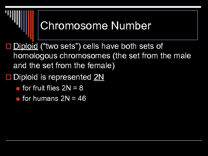 Chromosome Number o Diploid (“two sets”) cells have both sets of homologous chromosomes (the