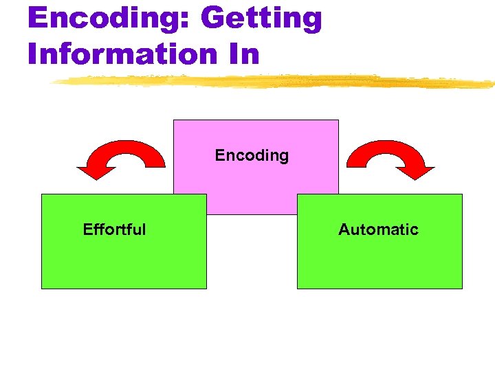 Encoding: Getting Information In Encoding Effortful Automatic 