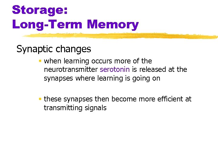 Storage: Long-Term Memory Synaptic changes § when learning occurs more of the neurotransmitter serotonin