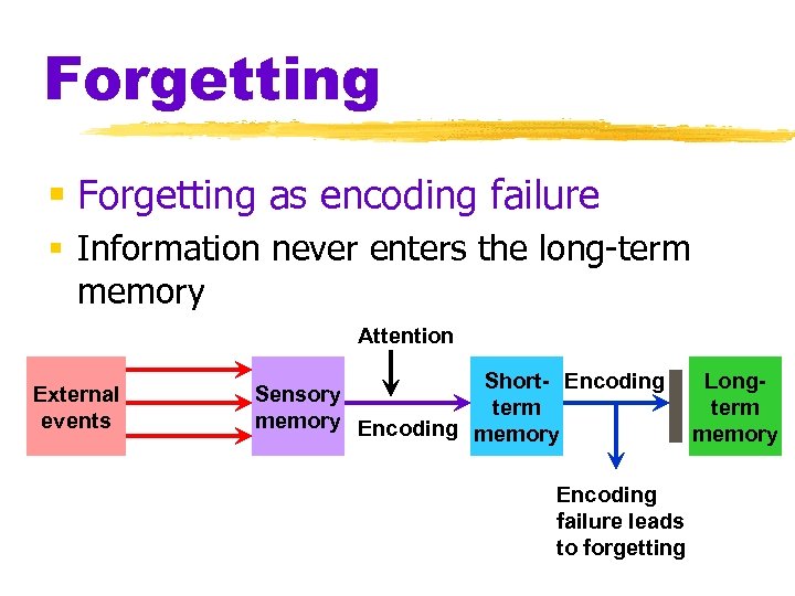 Forgetting § Forgetting as encoding failure § Information never enters the long-term memory Attention