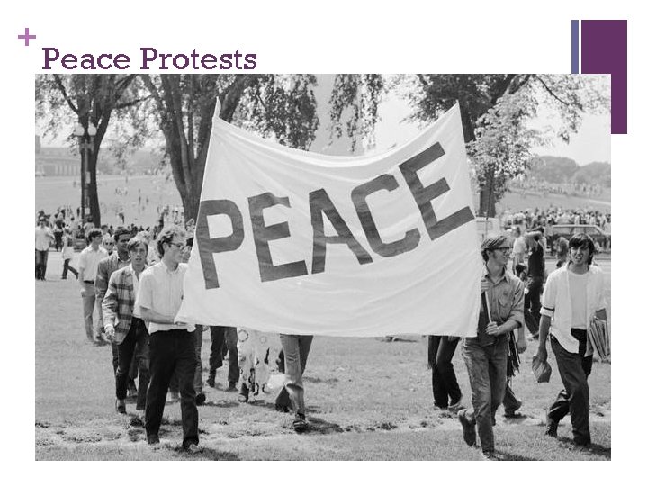 + Peace Protests 