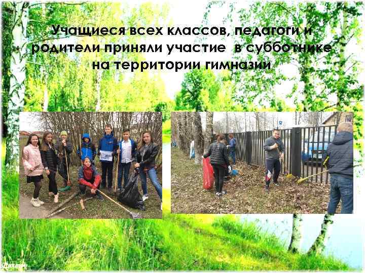 Учащиеся всех классов, педагоги и родители приняли участие в субботнике на территории гимназии 