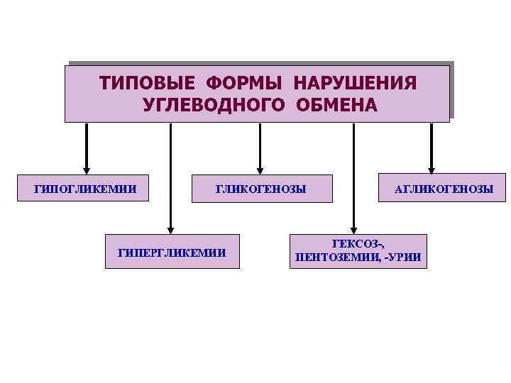 ТИПОВЫЕ ФОРМЫ НАРУШЕНИЯ УГЛЕВОДНОГО ОБМЕНА ГИПОГЛИКЕМИИ ГЛИКОГЕНОЗЫ ГИПЕРГЛИКЕМИИ АГЛИКОГЕНОЗЫ ГЕКСОЗ-, ПЕНТОЗЕМИИ, -УРИИ 