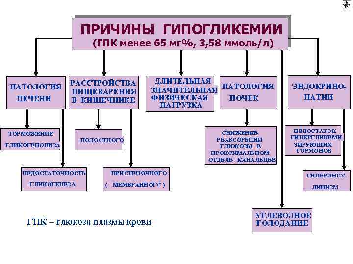 ПРИЧИНЫ ГИПОГЛИКЕМИИ (ГПК менее 65 мг%, 3, 58 ммоль/л) ПАТОЛОГИЯ ПЕЧЕНИ РАССТРОЙСТВА ПИЩЕВАРЕНИЯ В