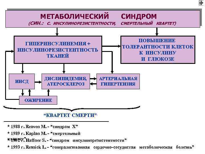 МЕТАБОЛИЧЕСКИЙ (СИН. : С. ИНСУЛИНОРЕЗИСТЕНТНОСТИ, ГИПЕРИНСУЛИНЕМИЯ ИНСУЛИНОРЕЗИСТЕНТНОСТЬ ТКАНЕЙ ИНСД ДИСЛИПИДЕМИЯ, АТЕРОСКЛЕРОЗ СИНДРОМ СМЕРТЕЛЬНЫЙ КВАРТЕТ)