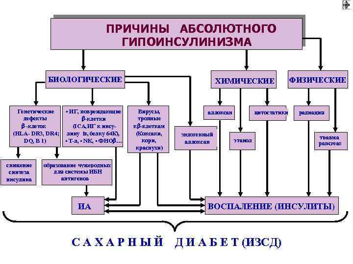 ПРИЧИНЫ АБСОЛЮТНОГО ГИПОИНСУЛИНИЗМА БИОЛОГИЧЕСКИЕ Генетические дефекты -клеток (HLA- DR 3, DR 4; DQ, B