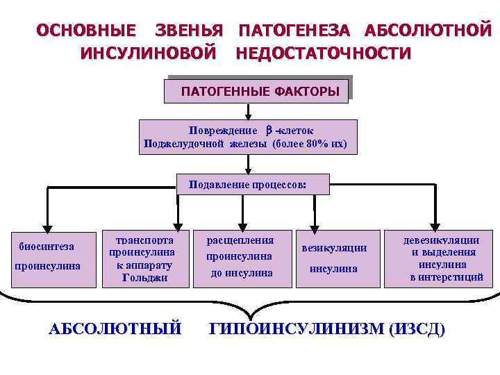 ОСНОВНЫЕ ЗВЕНЬЯ ПАТОГЕНЕЗА АБСОЛЮТНОЙ ИНСУЛИНОВОЙ НЕДОСТАТОЧНОСТИ ПАТОГЕННЫЕ ФАКТОРЫ Повреждение -клеток Поджелудочной железы (более 80%