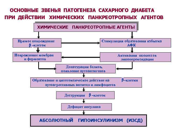 ОСНОВНЫЕ ЗВЕНЬЯ ПАТОГЕНЕЗА САХАРНОГО ДИАБЕТА ПРИ ДЕЙСТВИИ ХИМИЧЕСКИХ ПАНКРЕОТРОПНЫХ АГЕНТОВ ХИМИЧЕСКИЕ ПАНКРЕОТРОПНЫЕ АГЕНТЫ Прямое