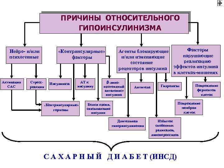 ПРИЧИНЫ ОТНОСИТЕЛЬНОГО ГИПОИНСУЛИНИЗМА Нейро- и/или психогенные Активация САС «Контринсулярные» факторы Стрессреакция Инсулиназа АТ к