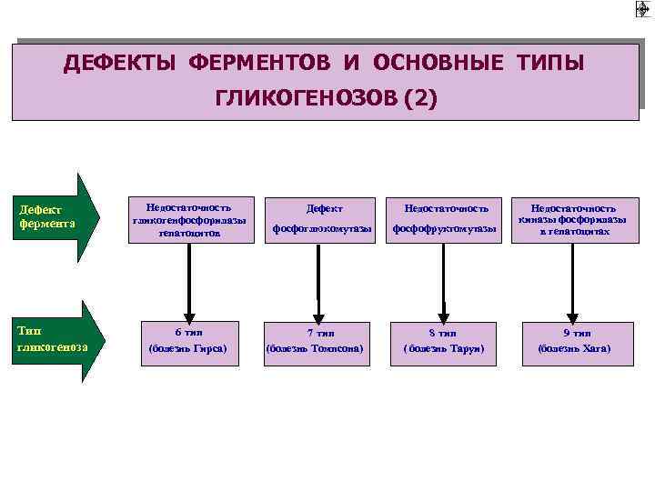 ДЕФЕКТЫ ФЕРМЕНТОВ И ОСНОВНЫЕ ТИПЫ ГЛИКОГЕНОЗОВ (2) Дефект фермента Тип ( гликогеноза Недостаточность гликогенфосфорилазы