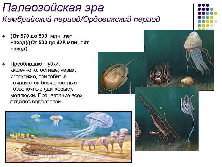 Палеозойская эра кембрийский период презентация