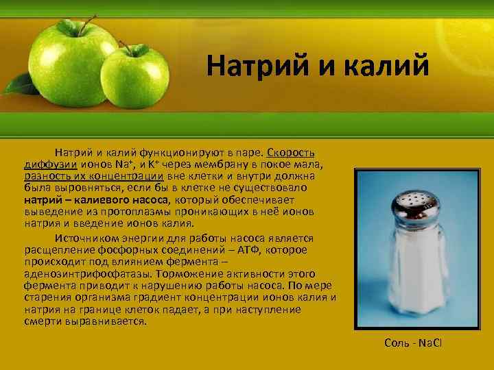 Натрий и калий функционируют в паре. Скорость диффузии ионов Na+, и K+ через мембрану