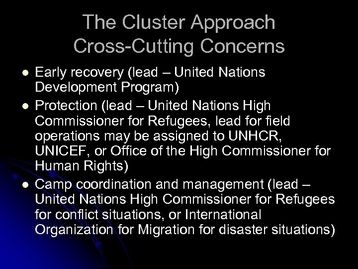 The Cluster Approach Cross-Cutting Concerns l l l Early recovery (lead – United Nations