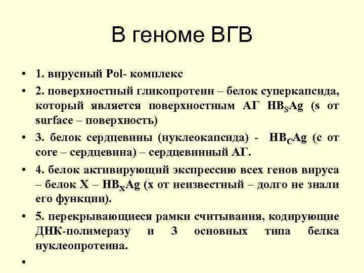 В геноме ВГВ • 1. вирусный Pol- комплекс • 2. поверхностный гликопротеин – белок