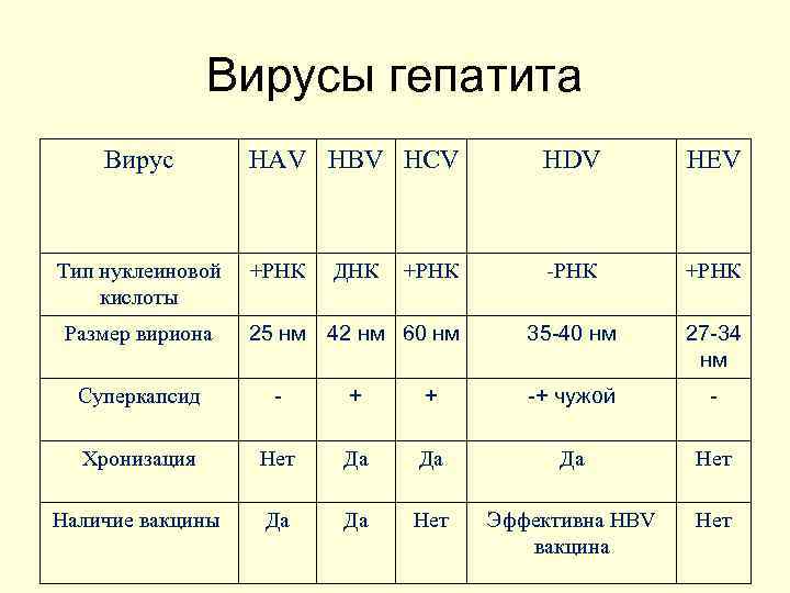 Вирусы гепатита Вирус Тип нуклеиновой кислоты Размер вириона HAV HBV HCV HDV HEV +РНК