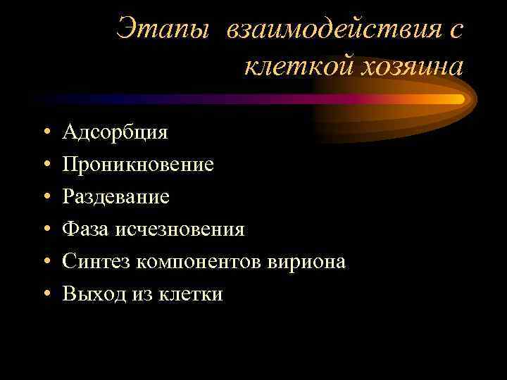 Этапы взаимодействия с клеткой хозяина • • • Адсорбция Проникновение Раздевание Фаза исчезновения Синтез