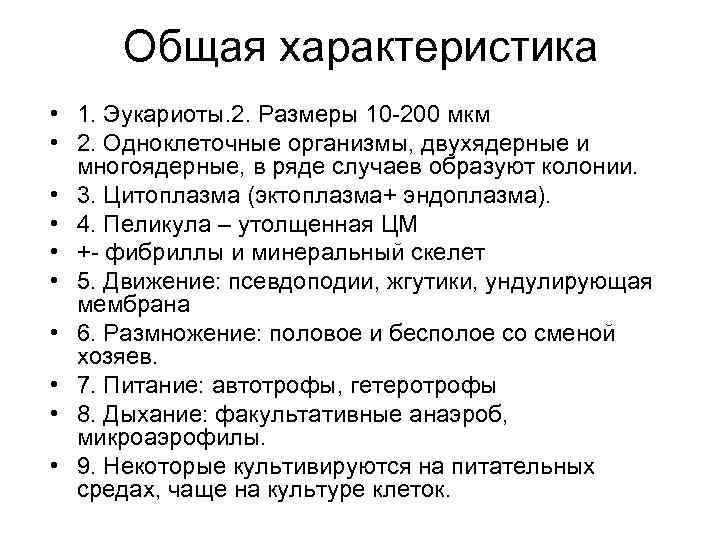 Общая характеристика • 1. Эукариоты. 2. Размеры 10 -200 мкм • 2. Одноклеточные организмы,