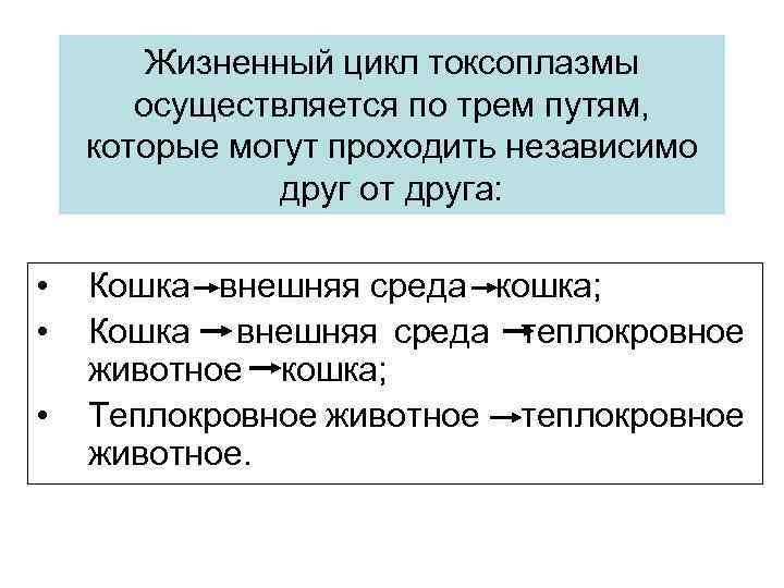 Жизненный цикл токсоплазмы осуществляется по трем путям, которые могут проходить независимо друг от друга: