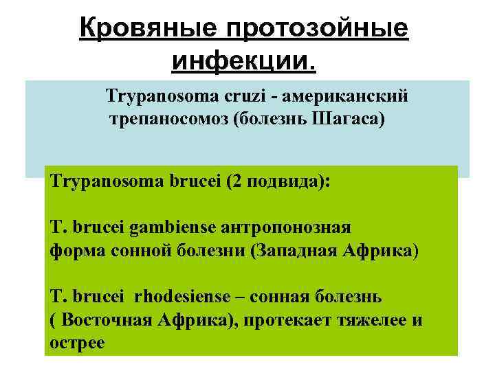 Кровяные протозойные инфекции. Trypanosoma cruzi - американский Трипаносомоз. трепаносомоз (болезнь Шагаса) Trypanosoma brucei (2