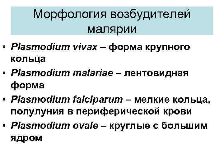 Морфология возбудителей малярии • Plasmodium vivax – форма крупного кольца • Plasmodium malariae –