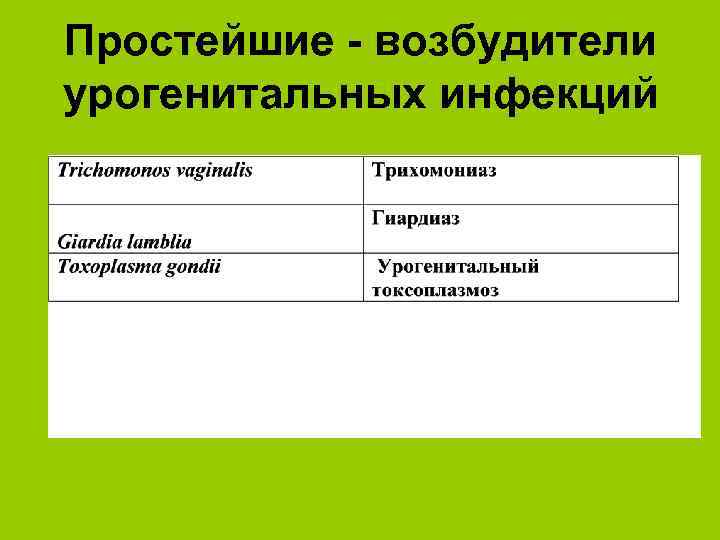 Простейшие - возбудители урогенитальных инфекций 