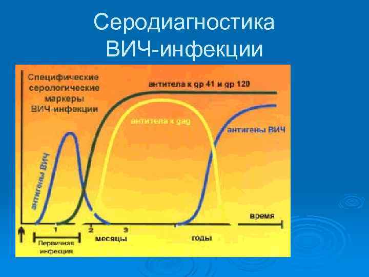 Cеродиагностика ВИЧ-инфекции 