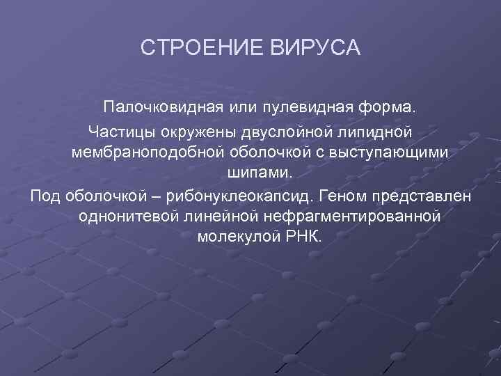 СТРОЕНИЕ ВИРУСА Палочковидная или пулевидная форма. Частицы окружены двуслойной липидной мембраноподобной оболочкой с выступающими