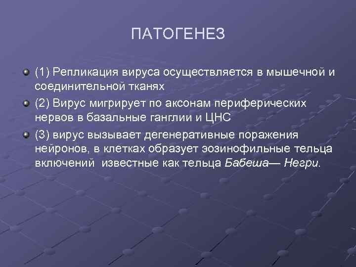 ПАТОГЕНЕЗ (1) Репликация вируса осуществляется в мышечной и соединительной тканях (2) Вирус мигрирует по
