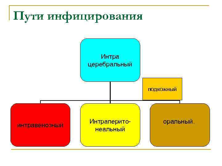 Пути инфицирования Интра церебральный подкожный интравенозный Интраперитонеальный оральный. 