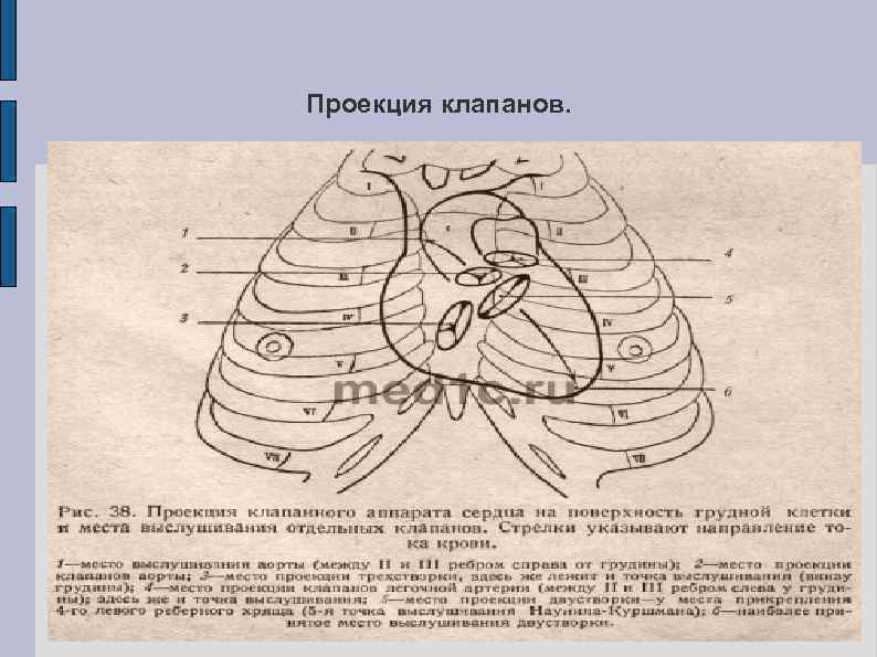Проекция клапанов. 