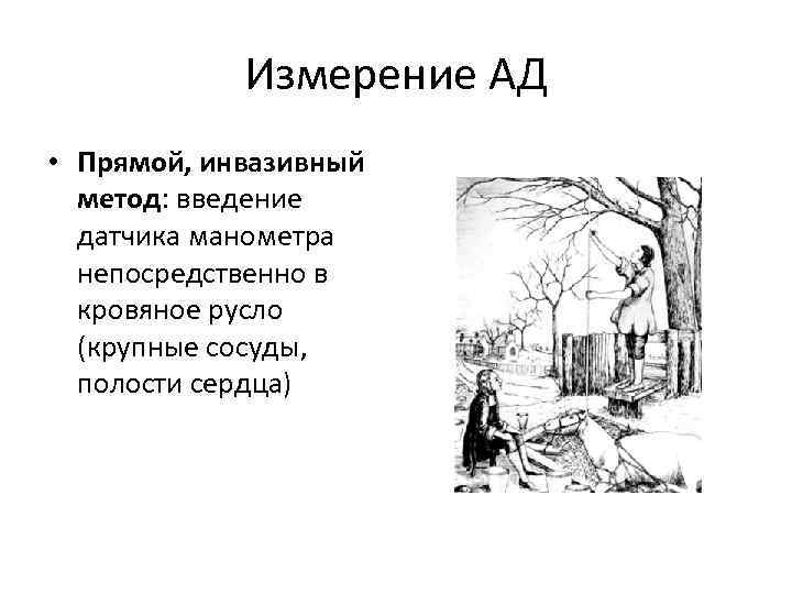 Измерение АД • Прямой, инвазивный метод: введение датчика манометра непосредственно в кровяное русло (крупные
