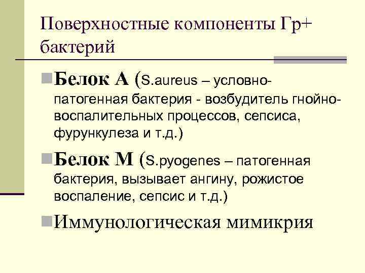 Поверхностные компоненты Гр+ бактерий n. Белок А (S. aureus – условнопатогенная бактерия - возбудитель