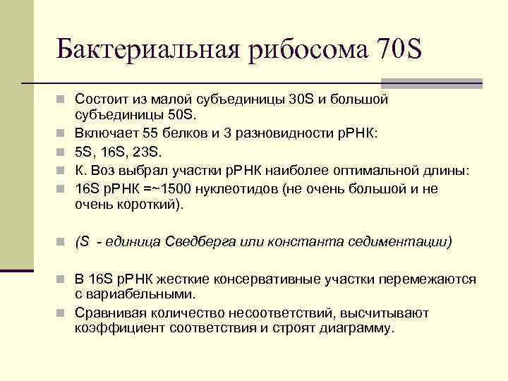 Бактериальная рибосома 70 S n Состоит из малой субъединицы 30 S и большой n