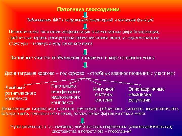 Патогенез глоссодинии Заболевания ЖКТ с нарушением секреторной и моторной функций Патологическая тоническая афферентация в