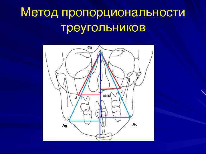 Метод пропорциональности треугольников 