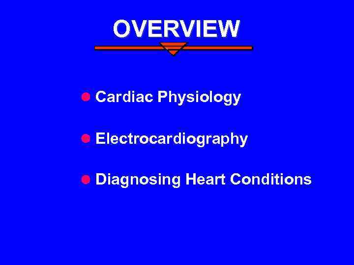 OVERVIEW Cardiac Physiology Electrocardiography Diagnosing Heart Conditions 