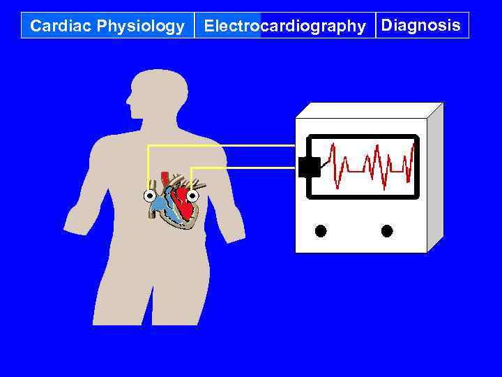 Cardiac Physiology Electrocardiography Diagnosis 