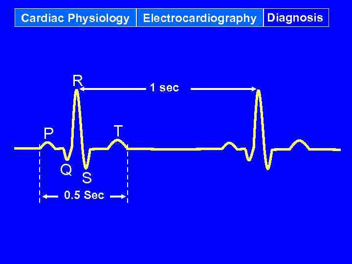 Cardiac Physiology R 1 sec T P Q S 0. 5 Sec Electrocardiography Diagnosis