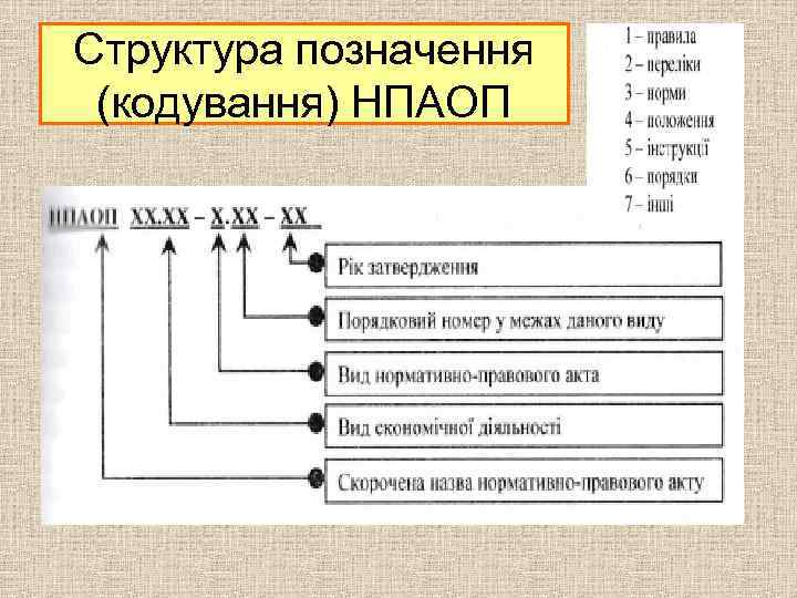 Структура позначення (кодування) НПАОП 