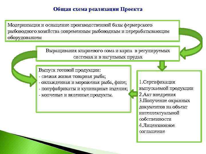 Общая схема реализации Проекта Модернизация и оснащение производственной базы фермерского рыбоводного хозяйства современным рыбоводным